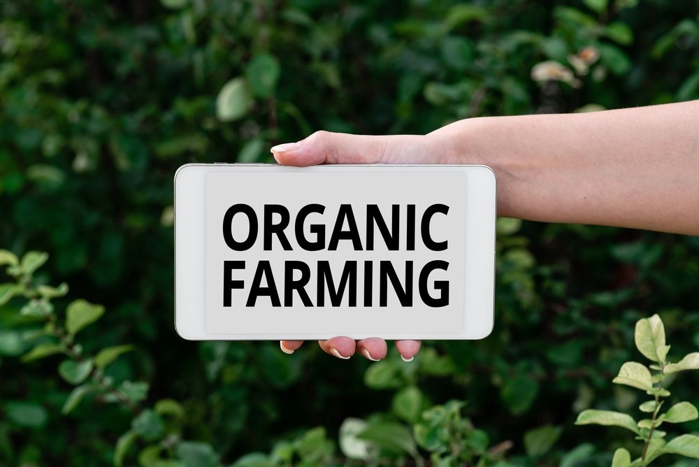 Organic Farming Techniques: Sustainable Practices