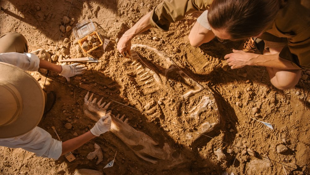 Archaeology Masterclass: Unearthing the Secrets of the Past