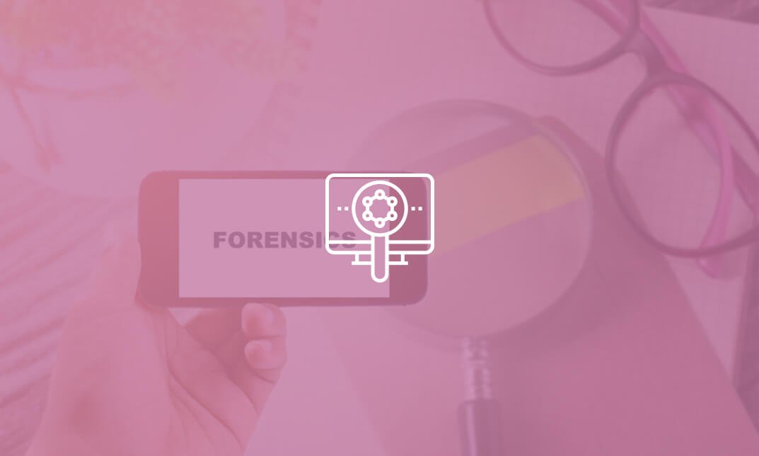 Certified Digital Forensics Examiner (CDFE) - Complete Video Training