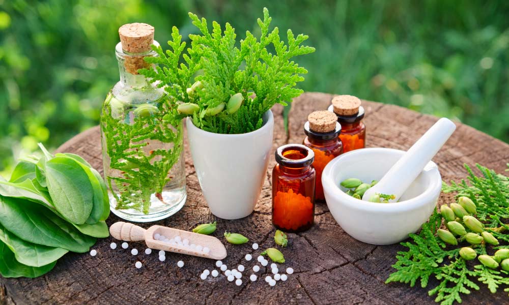 Naturopathy Online Course for Everyone