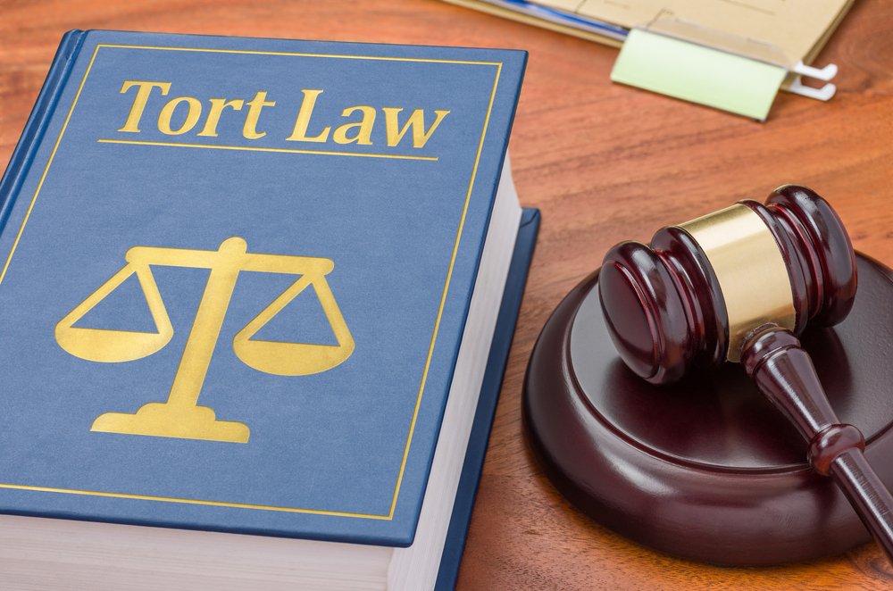 Tort Law Online Course