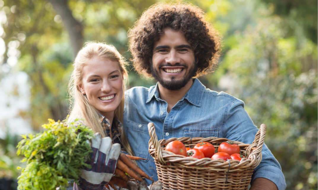 Diploma in Vegetable Gardening