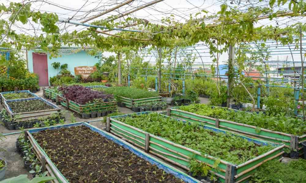 Urban Farming and Gardening Course