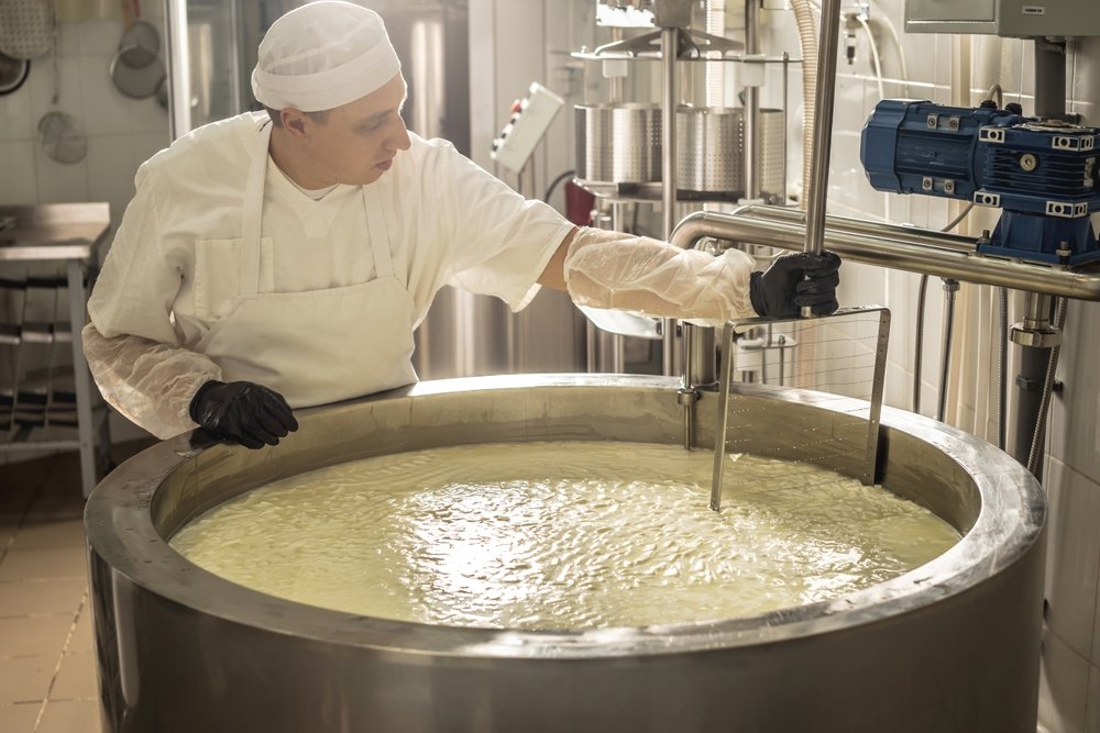 Cheese Making Course: Explore the World of Dairy Delights