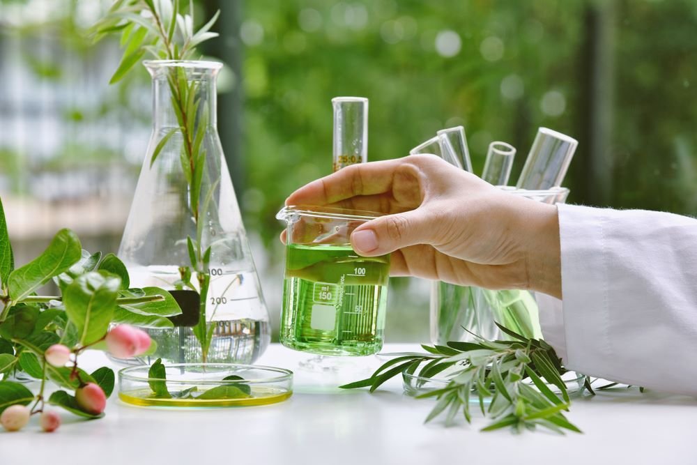 Introduction to Plant Science: Essential Concepts
