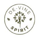 De-Vine Spirit Events logo