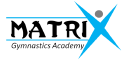Matrix Gymnastics Academy logo