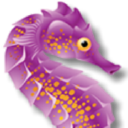 Seahorse School Of Swimming logo