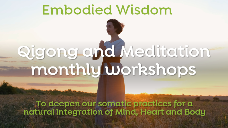 Embodied Wisdom Qigong Workshops