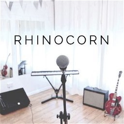 Rhinocorn Studio