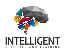 Intelligent Utilities And Training