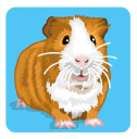 Guinea Pig Education logo