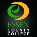 Essex Edu