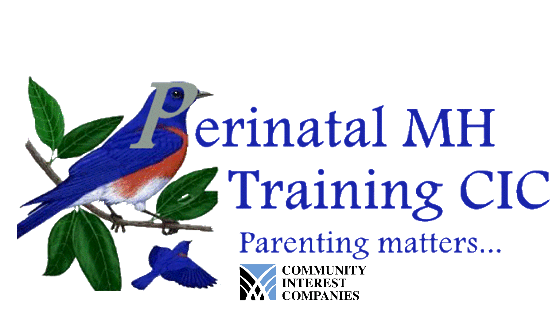 Perinatal MH Training logo