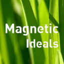 Magnetic Ideals