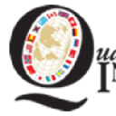 Qualitas International logo