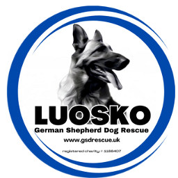 Luosko German Shepherd Dog Rescue