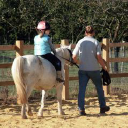 Bold Try Riding Stables logo