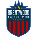 Brentwood Beagles Athletics Club logo