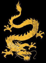 Raging Dragons Dragon Boat Club logo