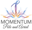 Momentum Pole & Aerial