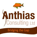 Anthias Consulting Ltd.