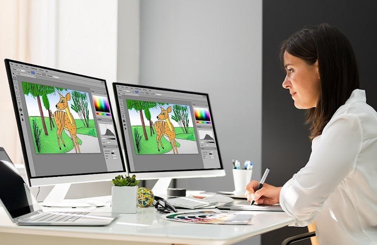 Animator Training: Animate in Photoshop