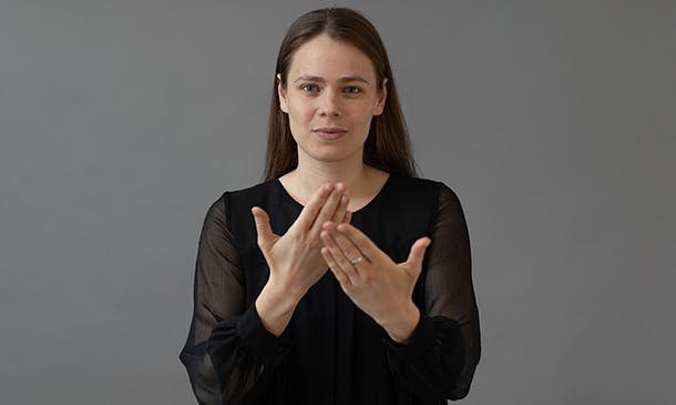 British Sign Language Interpreter Training