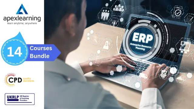 Enterprise Resource Planning (ERP)