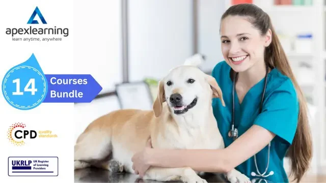 Veterinary Nursing (VET Assistant) Career Bundle