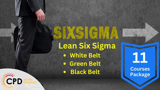 Six Sigma: Lean Six Sigma Green Belt Certification