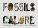 Fossils Galore logo