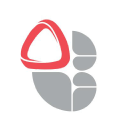 The Bulwell Academy logo