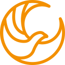 The Phoenix Education Trust logo