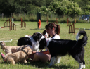 Lead the Way - Dog Training and Behaviour Management  Long Melford logo