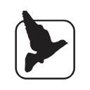 Blackbird Corporate Ltd logo