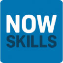 NowSkills IT Apprenticeships logo