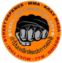 Steel Fist Martial Arts