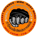 Steel Fist Martial Arts logo