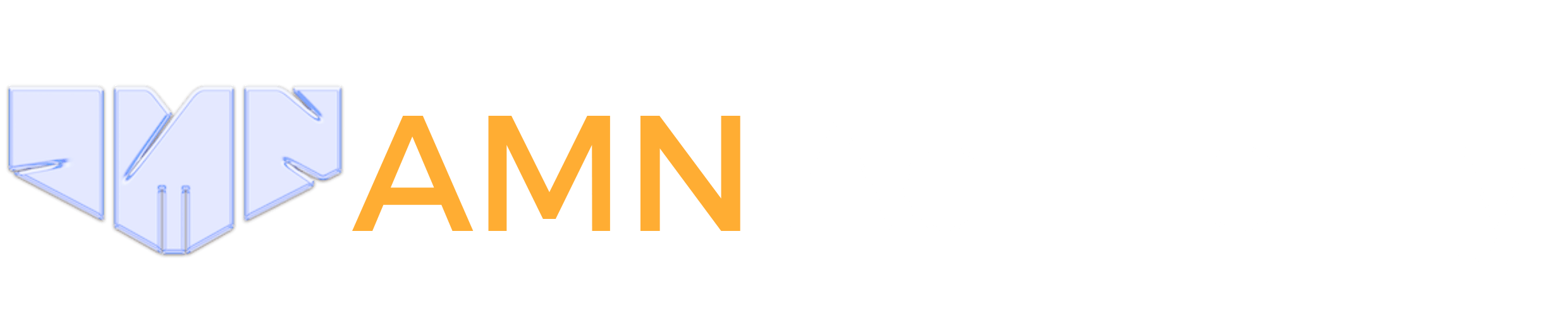Amn Academy logo