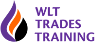 Wlt logo