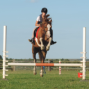 Park Farm Riding School