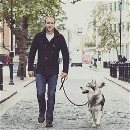 Dog Training In London