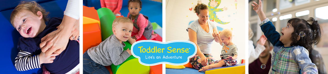 Toddler Sense Derby logo