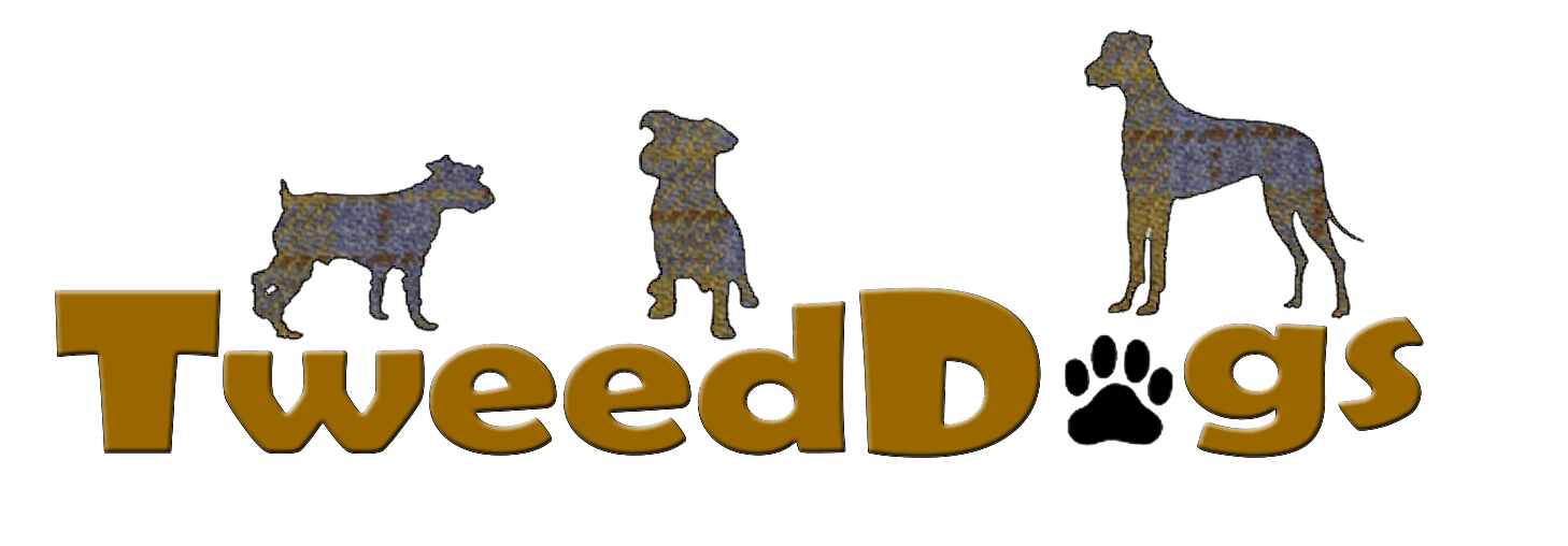 TweedDogs Daycare, Training & Behaviour Centre, Scottish Borders logo