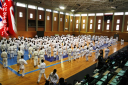 Shukokai Karate Federation logo
