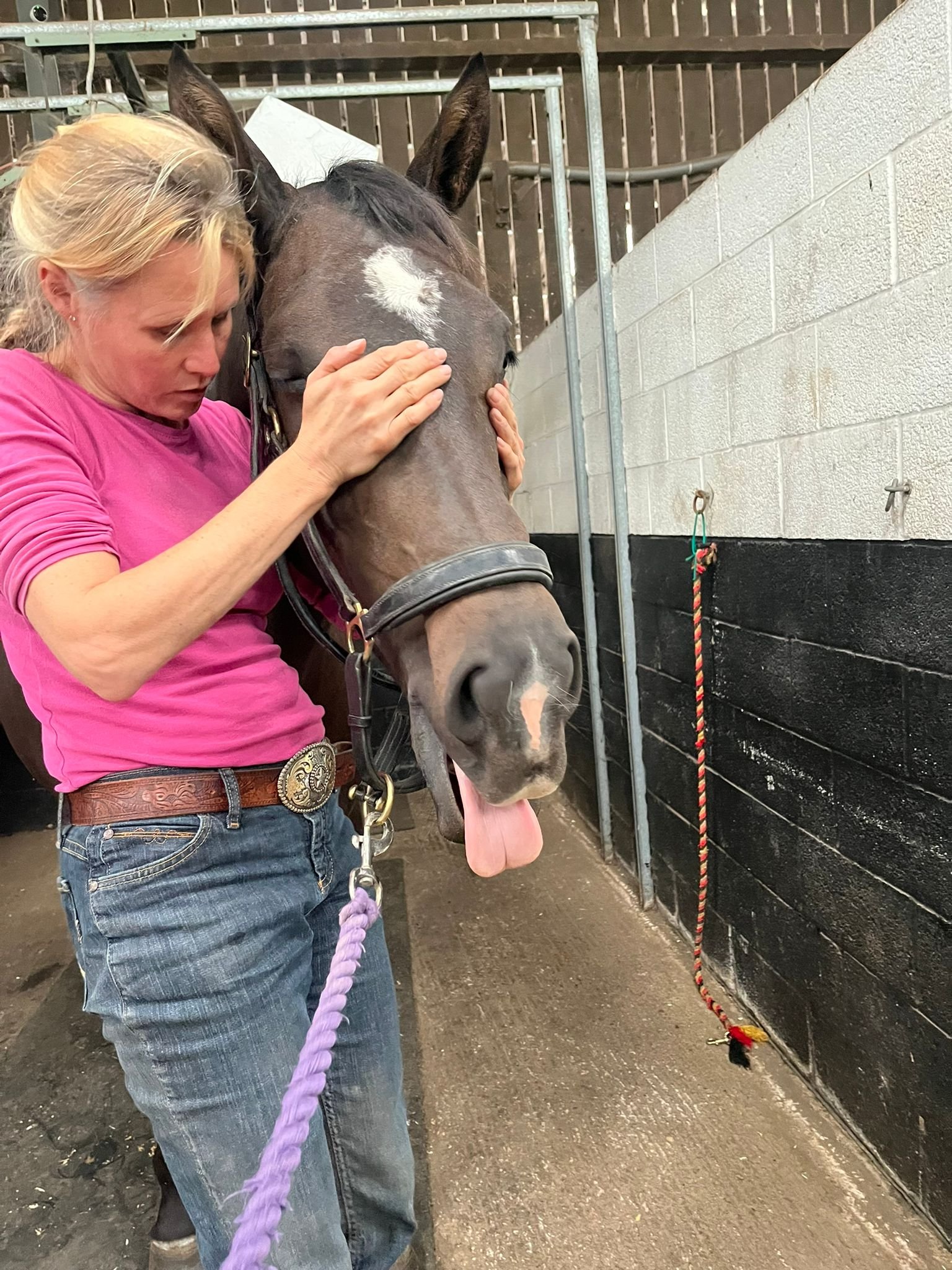 Angelford Equestrian Behavioural And Bodywork Therapy