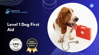 Level 1 Dog First Aid
