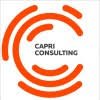 Capri Consulting Ltd. logo