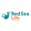 Undersea Adventures diving center logo
